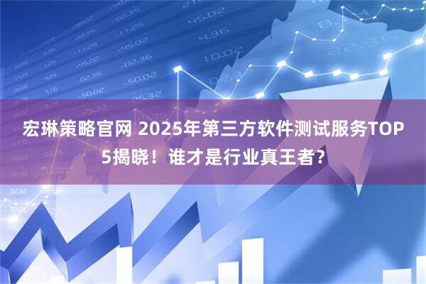 宏琳策略官网 2025年第三方软件测试服务TOP5揭晓！谁才是行业真王者？