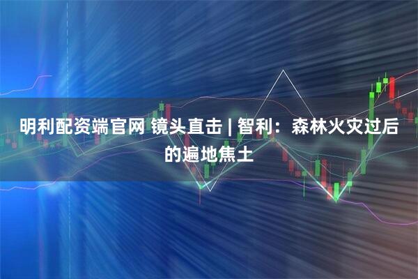 明利配资端官网 镜头直击 | 智利：森林火灾过后的遍地焦土